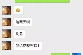 顺平如何避免债务纠纷？专业追讨公司教您应对之策